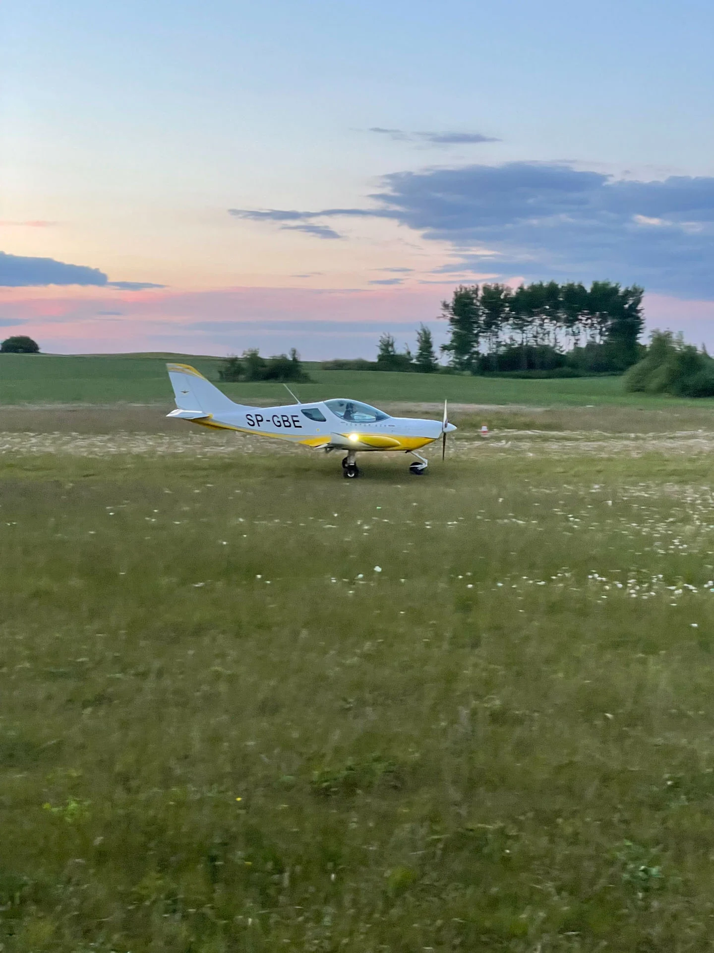 Piloci ventum air