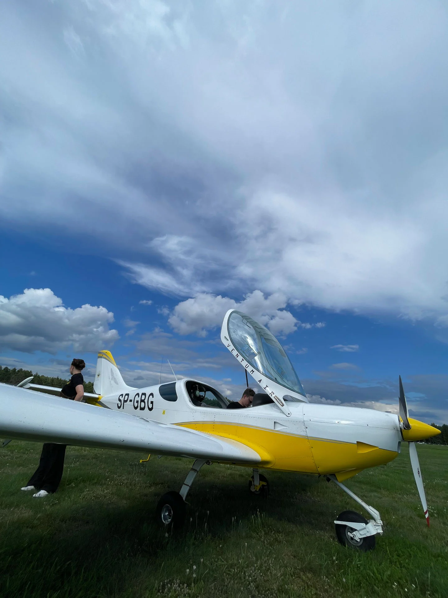 Piloci ventum air